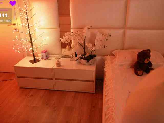 Rerince webcam