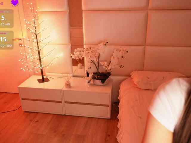 Rerince webcam