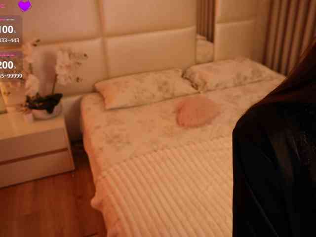 Rerince webcam