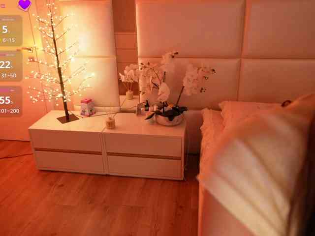 Rerince webcam