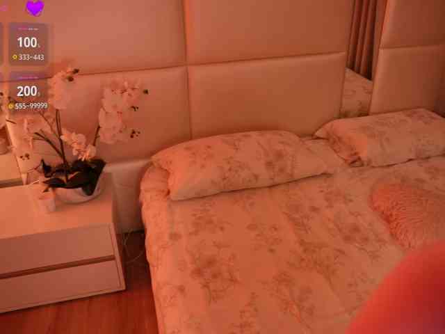 Rerince webcam
