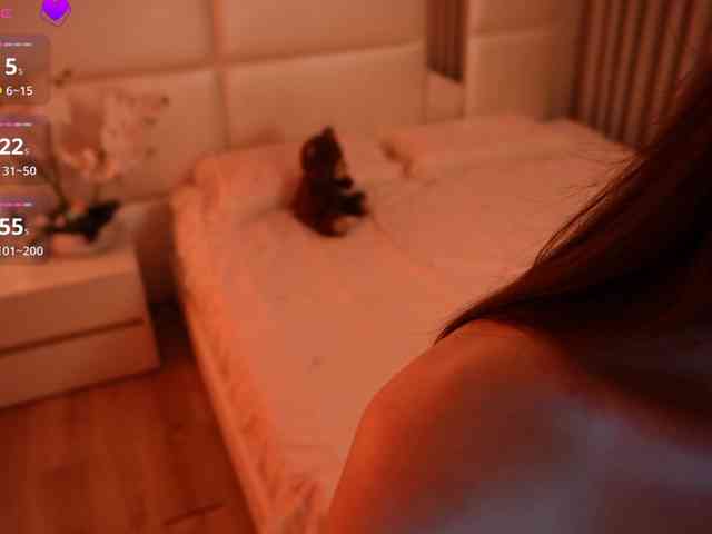 Rerince webcam