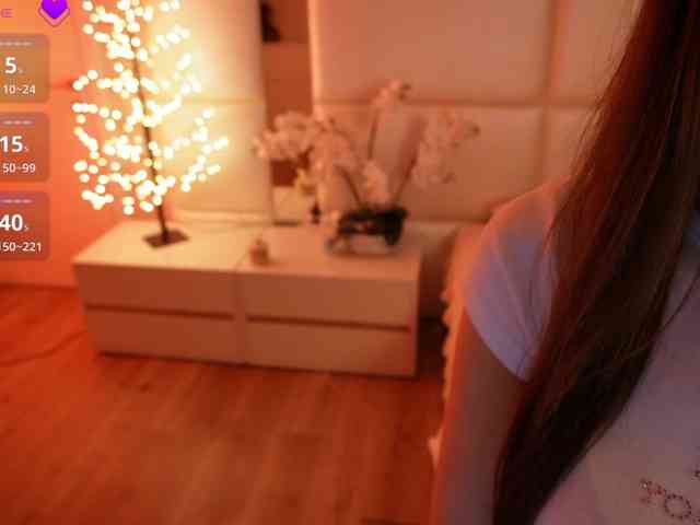 Rerince webcam