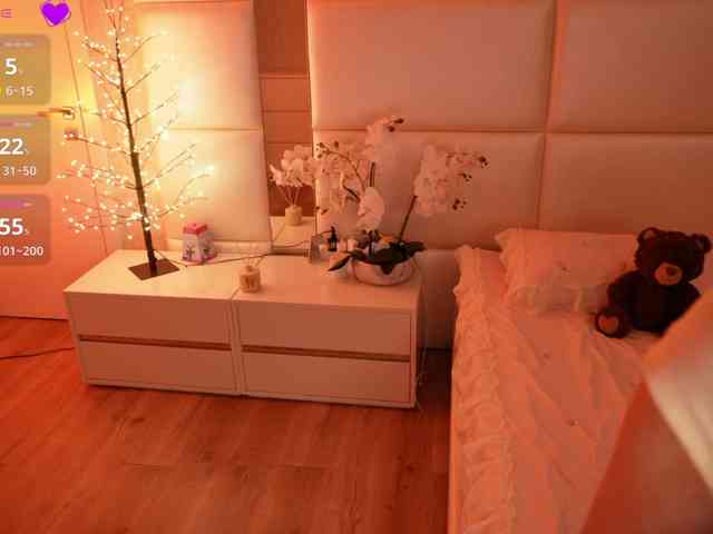 Rerince webcam