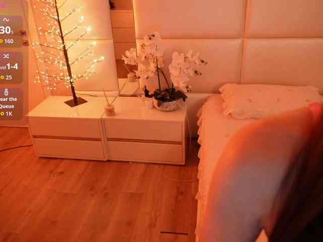 Rerince webcam