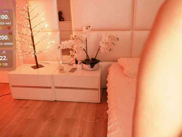 Rerince webcam