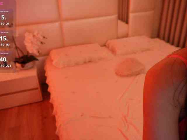 Rerince webcam