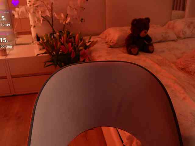 Rerince webcam