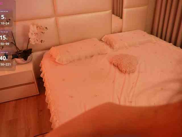 Rerince webcam