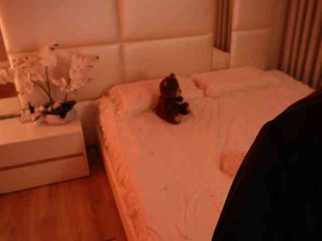 Rerince webcam