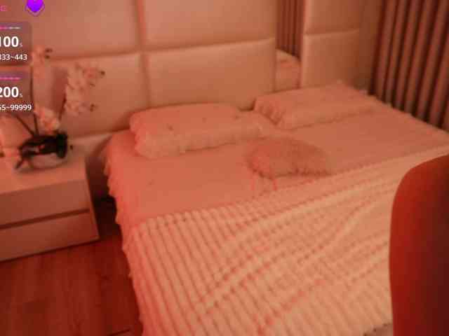 Rerince webcam