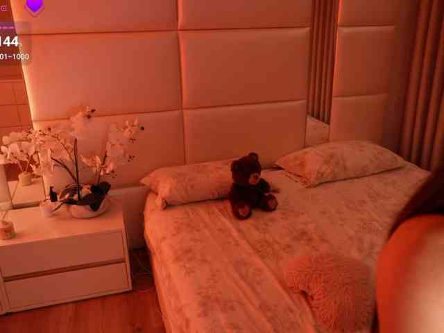 Rerince webcam