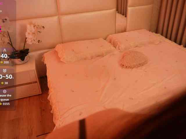 Rerince webcam