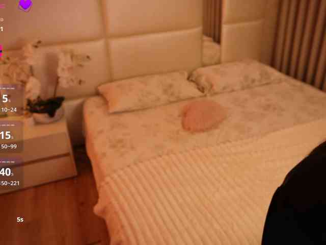 Rerince webcam