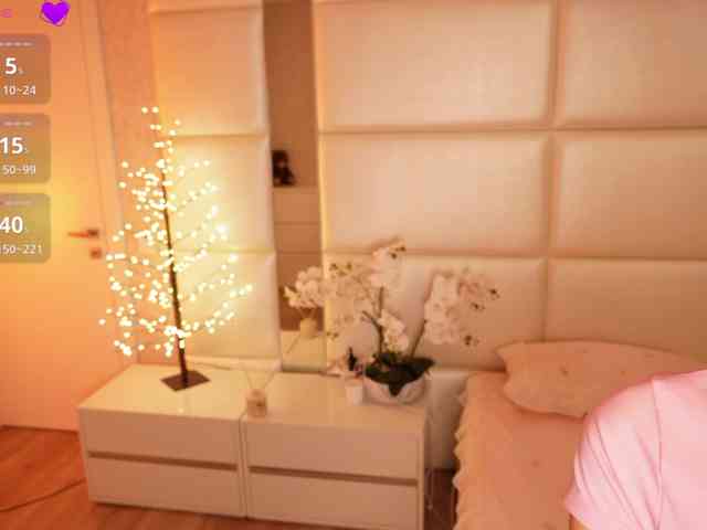 Rerince webcam