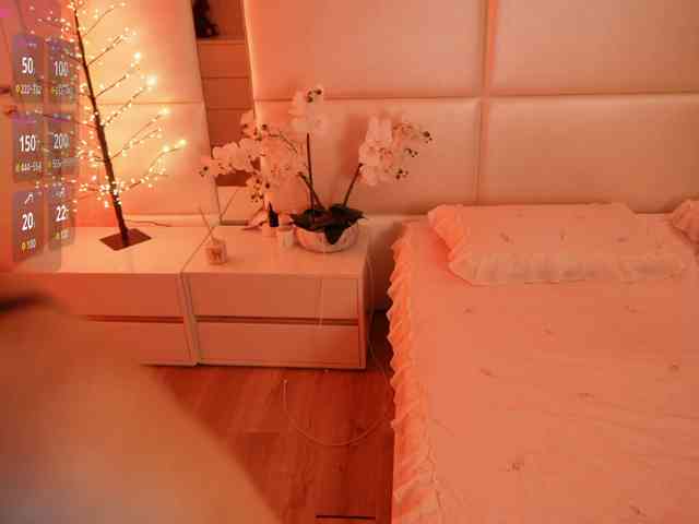 Rerince webcam