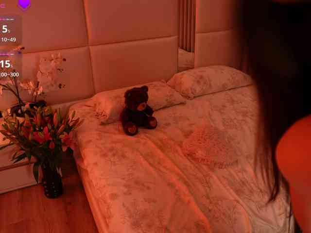 Rerince webcam