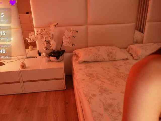 Rerince webcam