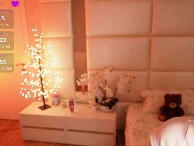 Rerince webcam