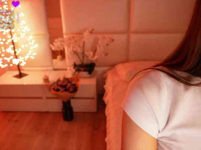 Rerince webcam