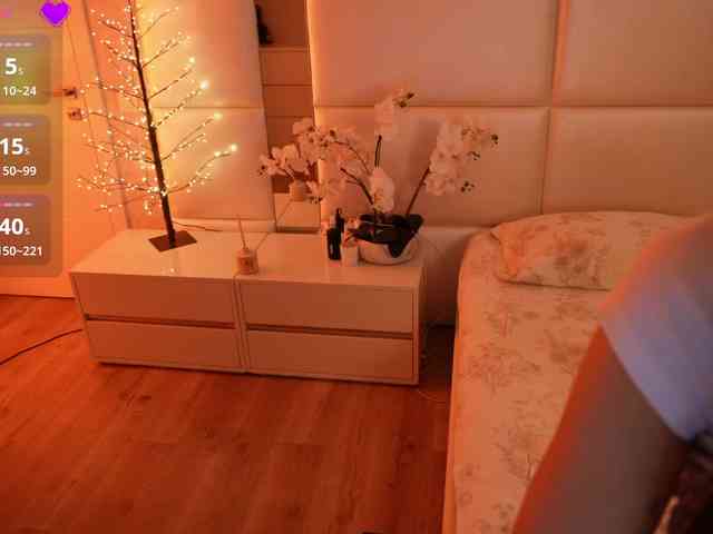 Rerince webcam