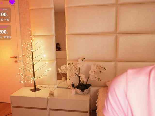 Rerince webcam