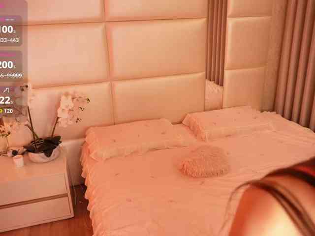 Rerince webcam