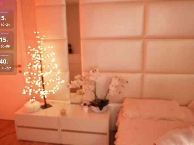 Rerince webcam
