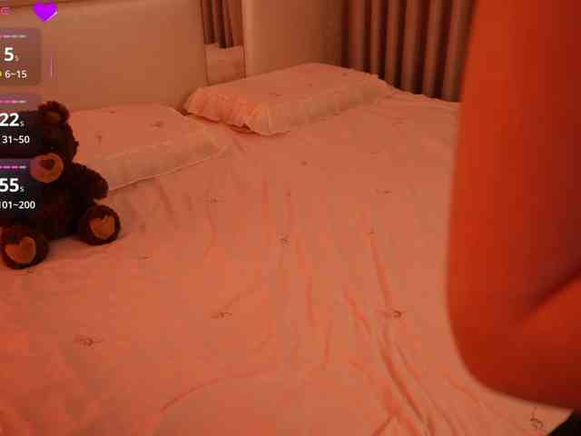 Rerince webcam