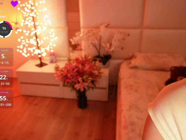 Rerince webcam