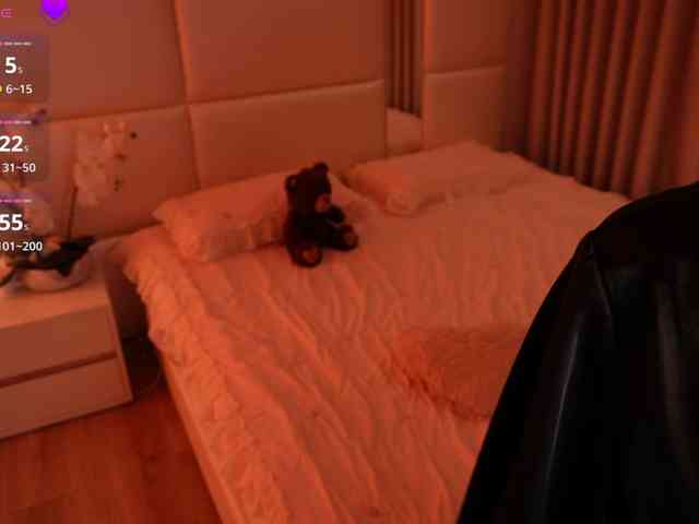 Rerince webcam