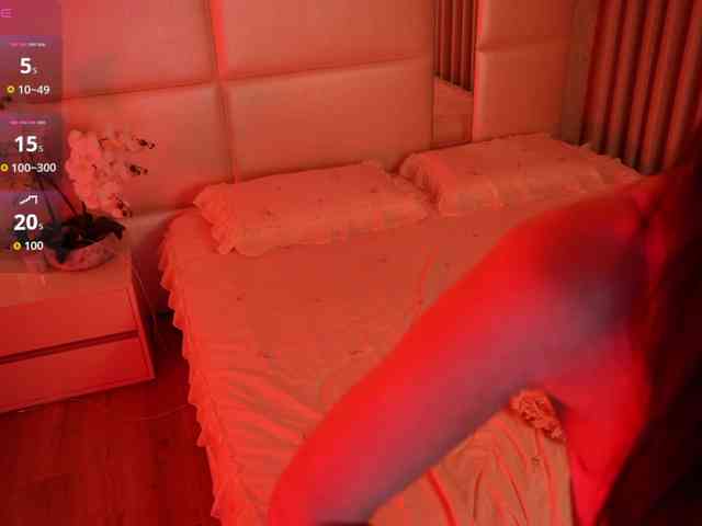 Rerince webcam