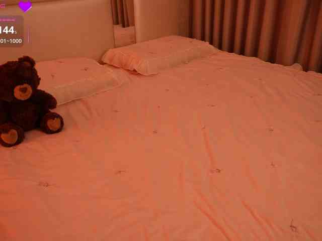 Rerince webcam