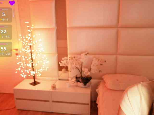 Rerince webcam