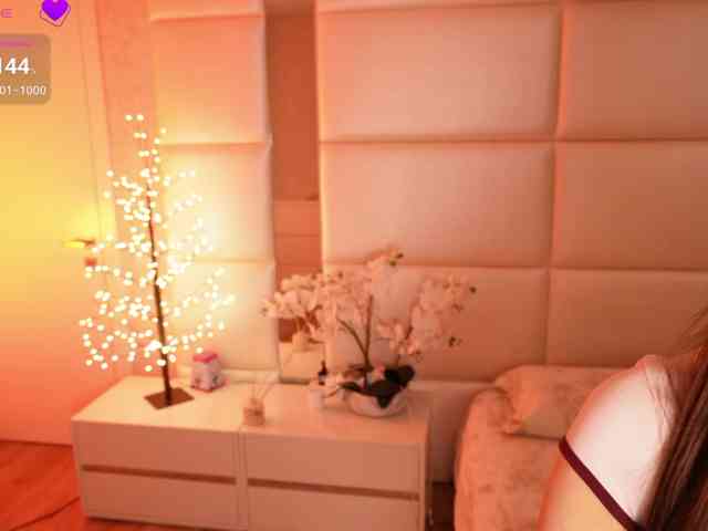 Rerince webcam