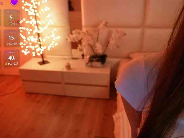 Rerince webcam