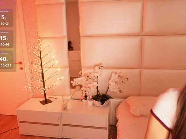 Rerince webcam