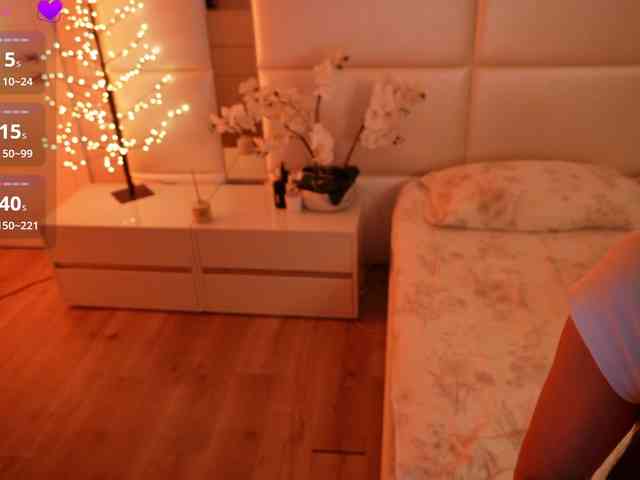 Rerince webcam