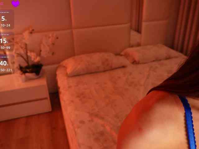 Rerince webcam