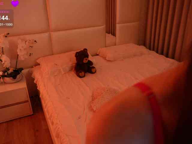 Rerince webcam