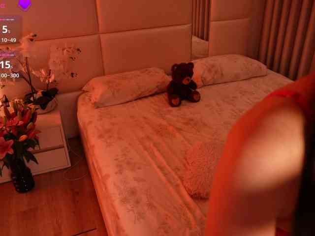 Rerince webcam