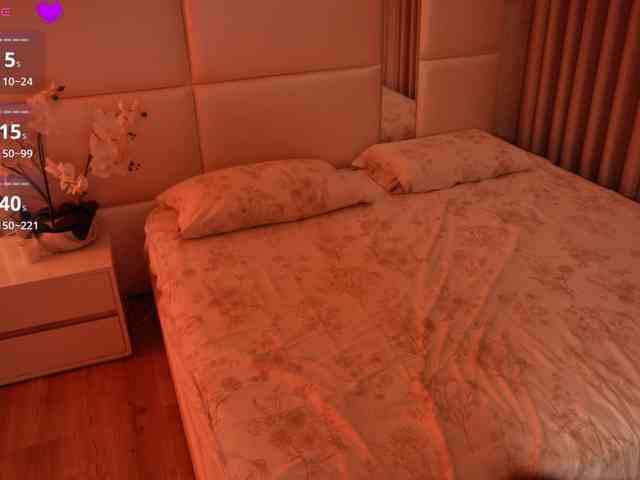 Rerince webcam