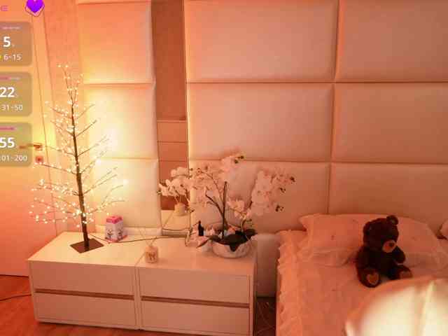Rerince webcam