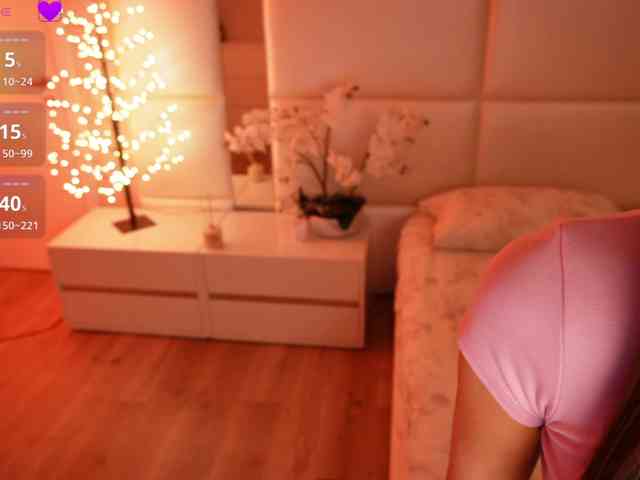 Rerince webcam