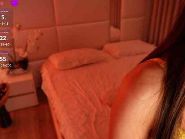 Rerince webcam