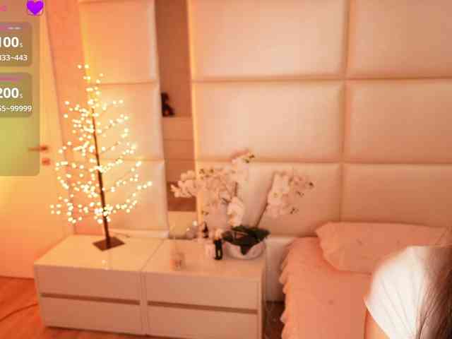 Rerince webcam
