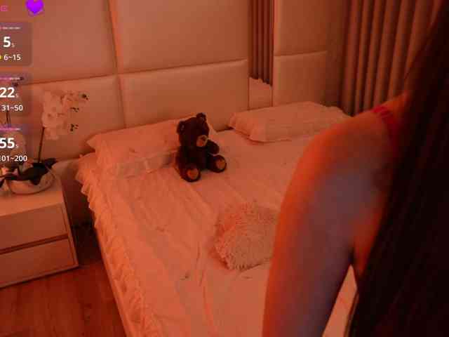 Rerince webcam