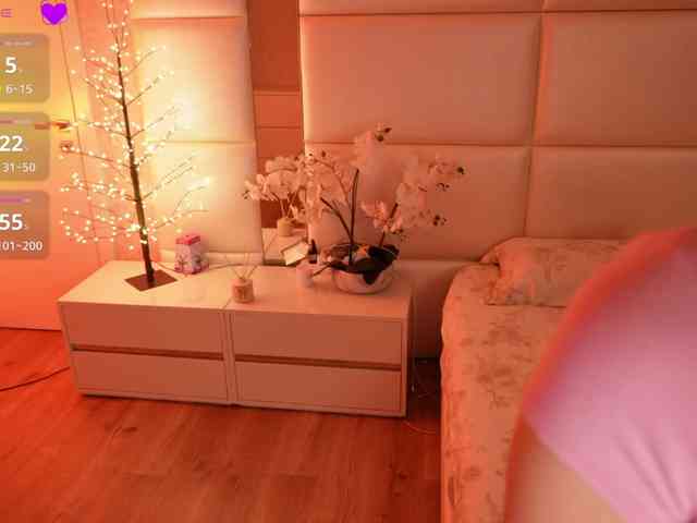 Rerince webcam
