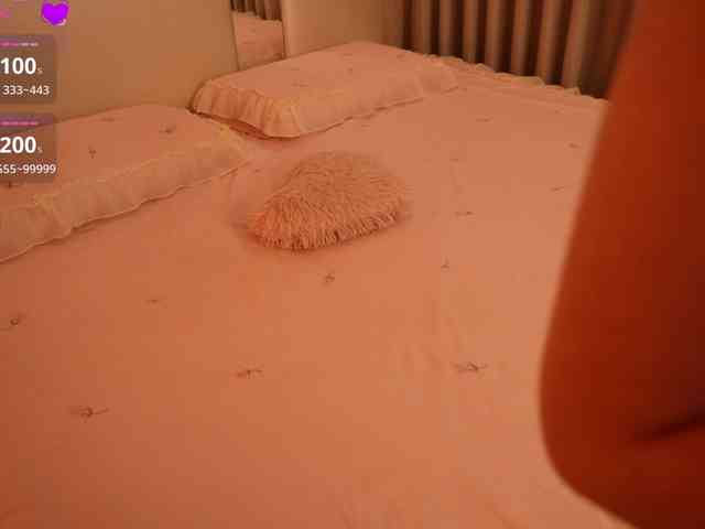 Rerince webcam