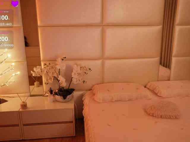 Rerince webcam